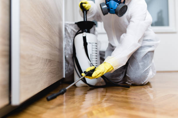 Best Best Pest Control Companies  in Lakewood Park, FL