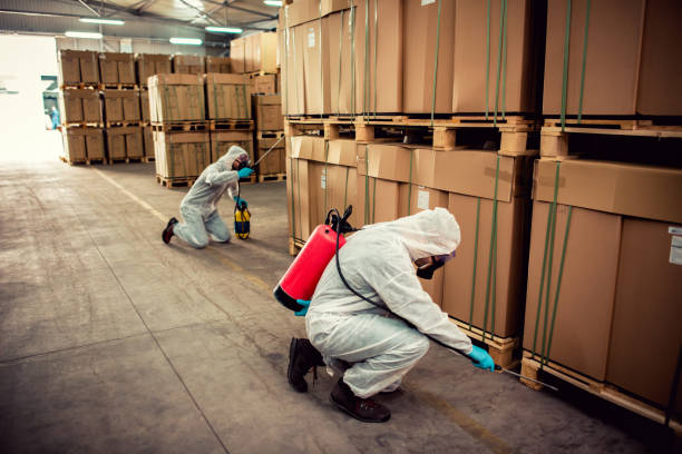 Best Residential Pest Control  in Lakewood Park, FL