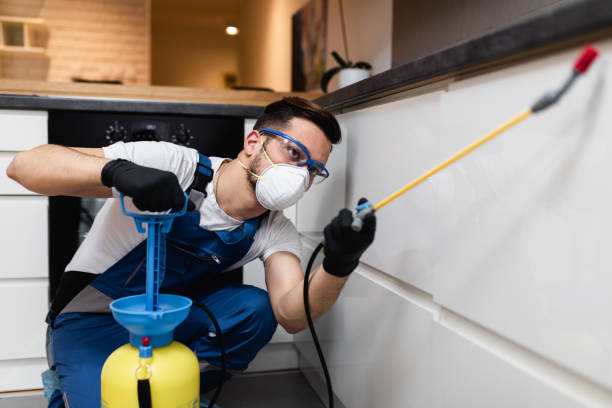 Best Wasp Removal Services  in Lakewood Park, FL