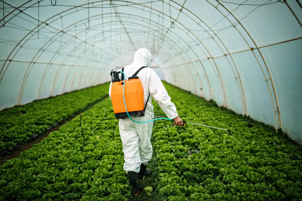 Best Pest Prevention Services  in Lakewood Park, FL