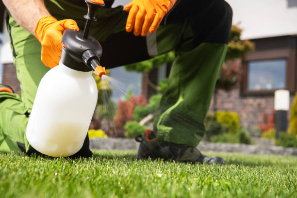Best Best Pest Control Companies  in Lakewood Park, FL