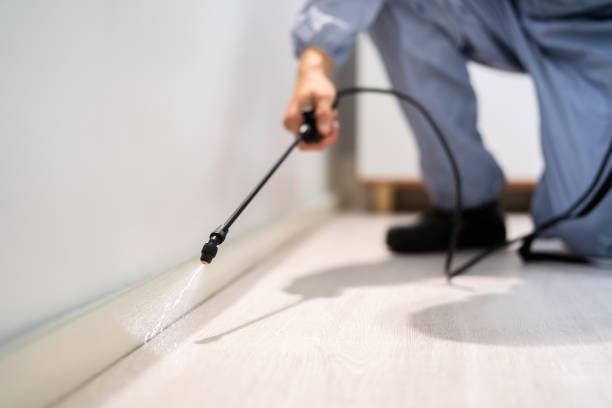 Pest Control Cost in Lakewood Park, FL