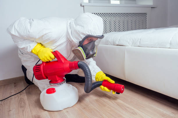 Best Ant Control Services  in Lakewood Park, FL
