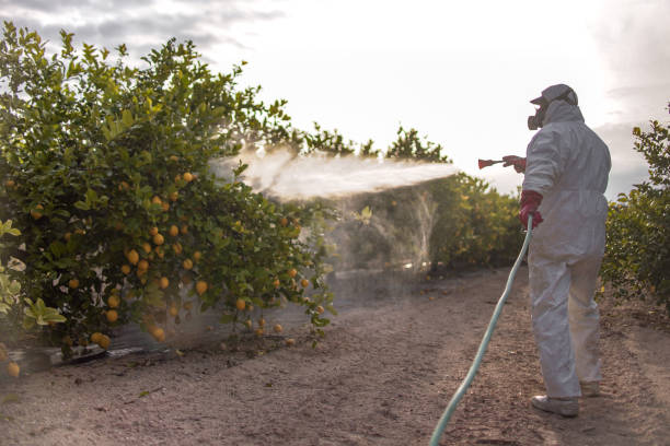 Wildlife Control Services in Lakewood Park, FL