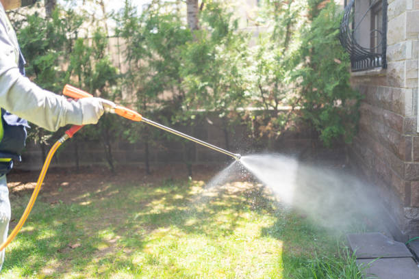 Best Mosquito Control Services  in Lakewood Park, FL