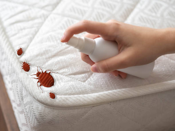 Best Pest Removal Services  in Lakewood Park, FL