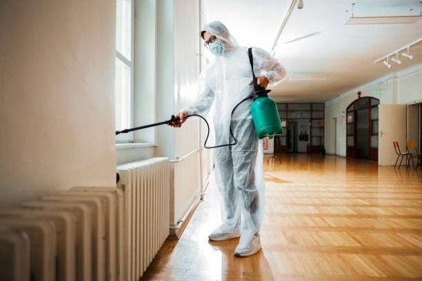 Best Rat Extermination Near Me  in Lakewood Park, FL