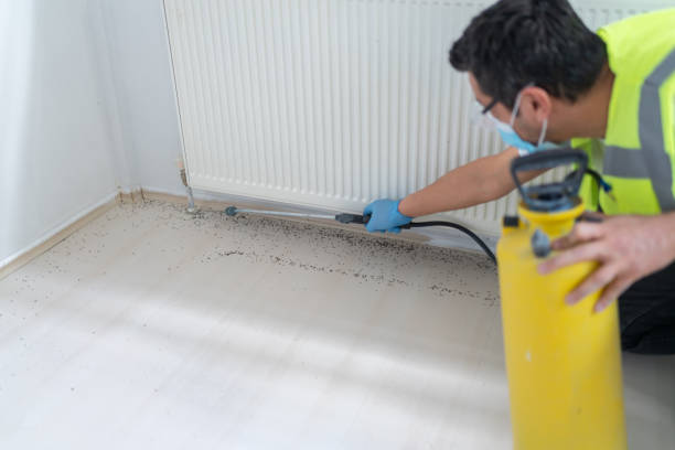 Best Affordable Pest Control Services  in Lakewood Park, FL